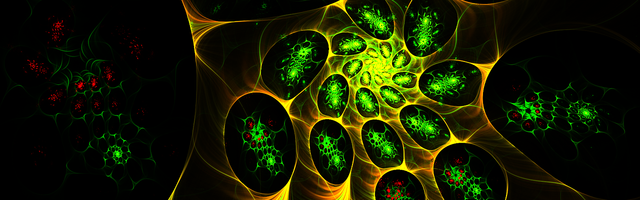 Using Stem Cells in Dental Implantology