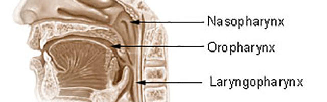 Oropharyngeal Cancer: A Global Concern