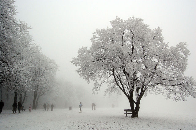 winter-budapest